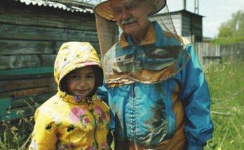 I Was Upset That My Grandfather Only Left Me an Old Apiary until I Looked into the Beehives — Story of the Day