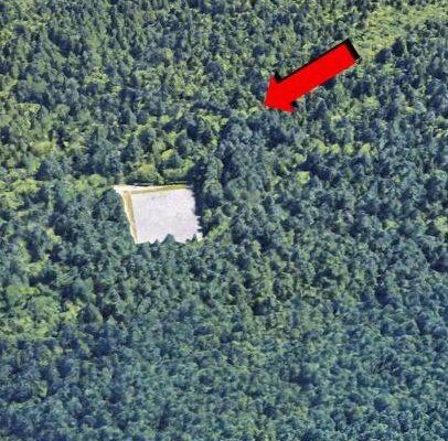 To Honor His Deceased Wife, The Husband Plants 1,000 Trees, But An Aerial Photo Taken 17 Years Later Reveals His True Motivation