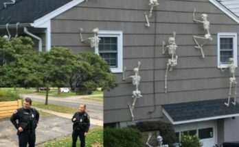 Neighbor’s Hilarious Response to Halloween Decoration Criticism Went Viral!