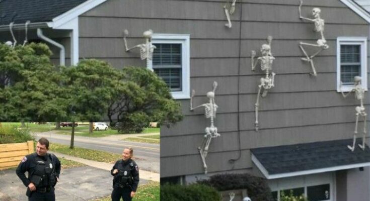 Neighbor’s Hilarious Response to Halloween Decoration Criticism Went Viral!