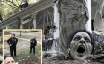 A Neighbor’s Amusing Reaction to Criticism of Their Halloween Decorations Has Gone Viral