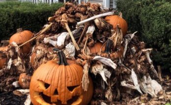 My Neighbors Threw Their Rotten Halloween Decorations in My Yard So I Would Take Them Away – But I Taught Them a Lesson