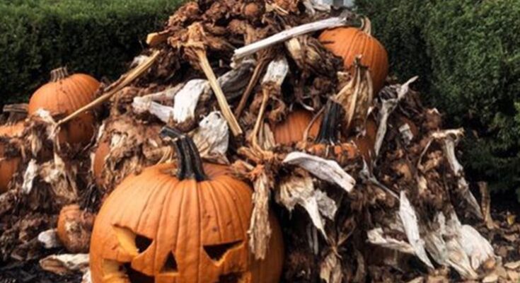 My Neighbors Threw Their Rotten Halloween Decorations in My Yard So I Would Take Them Away – But I Taught Them a Lesson