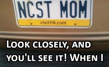 This Clever License Plate Is Making Waves for Surprising Reasons – Take A Look