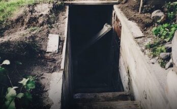 Man Forbids Everyone From Entering Cellar, Lets Maid Unlock It Only Before Death — Story of the Day