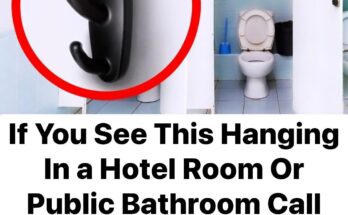 If You See This Hanging In a Hotel Room Or Public Bathroom Call 911 Immediately