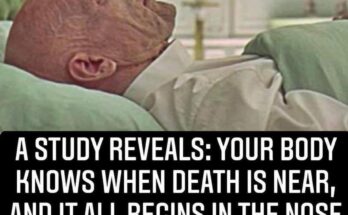 Study Reveals Secret: Your Body Knows When Death Is Near, And Where It All Begins