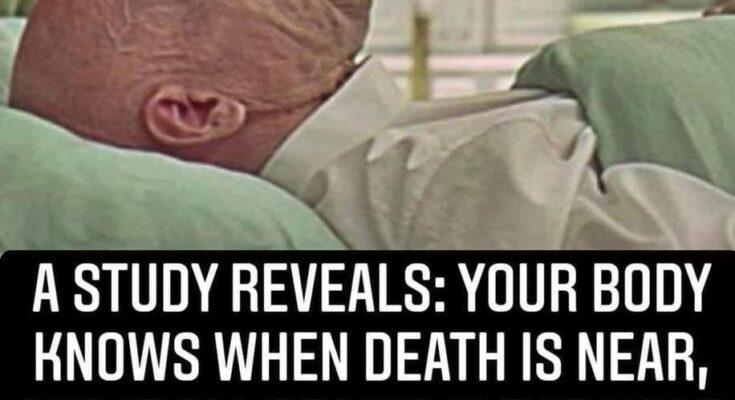 Study Reveals Secret: Your Body Knows When Death Is Near, And Where It All Begins