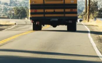 I Saw a Child on the School Bus Hitting the Back Window and Yelling for Help